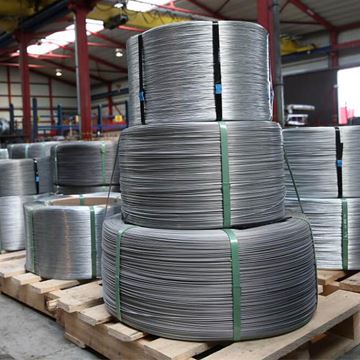 Stainless Steel Wire