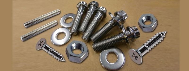 SS Fasteners Manufacturer in India